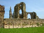 2006-0606-1420-42.jpg